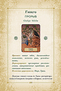 Оракул. Магия звезд и растений. Таро, гадания и знаки (55 карт и руководство)